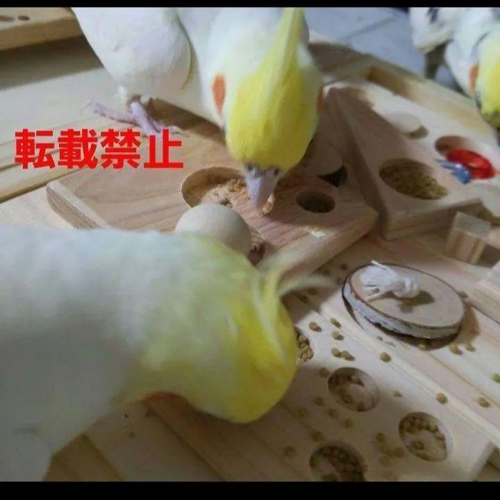 47　⭐　インコ　フォージングトイ　⭐　バードトイ　おもちゃ　文鳥　ことり Amazon | UB-Lab. 鳥 おもちゃ 木製 フォージングトイ グッズ セキセイ