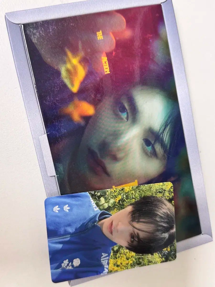 ボイネク the action フレーム半 テサン フルセット (全付属品含む)