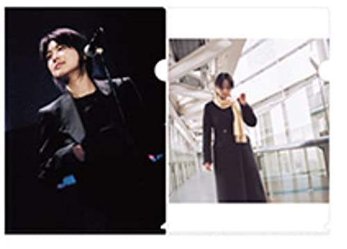 ZARD（ザード）坂井泉水 クリアファイル「N」 - メルカリ