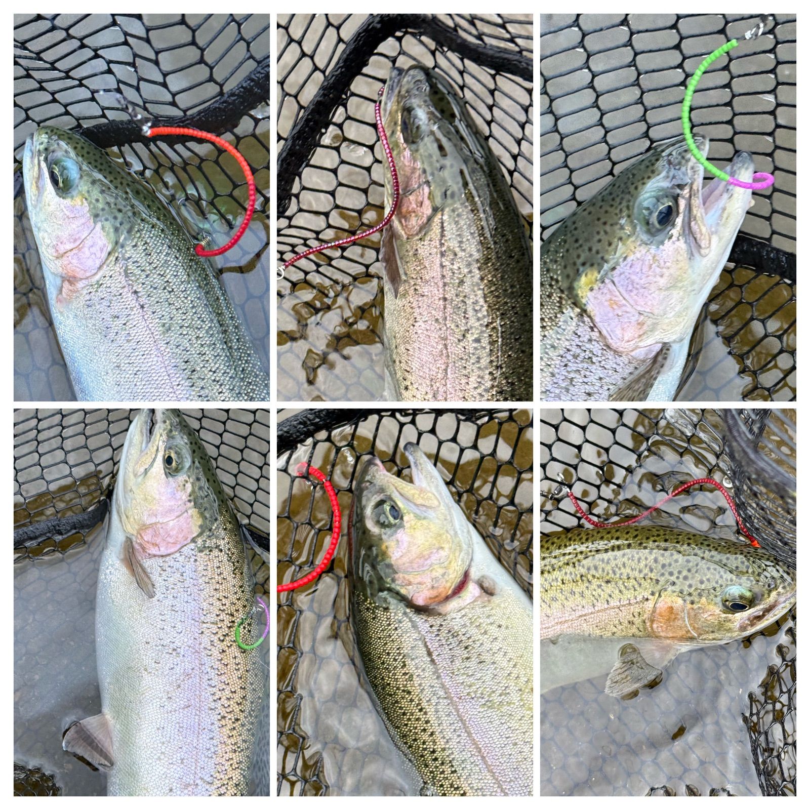 黒獅子】管釣り エリアトラウト【形状記憶】海鱒スパイラルtrigger2.9g