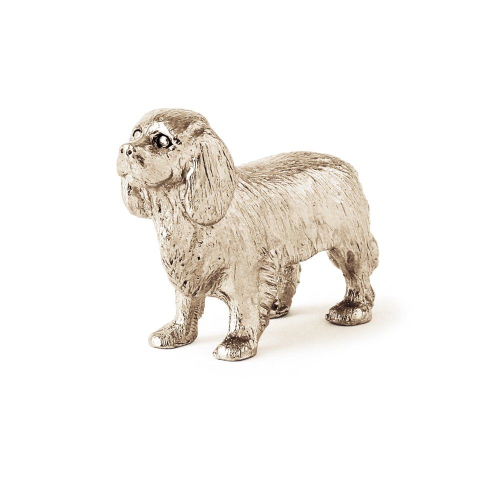 washburn wm24v/zoom G1K/DS-2/TDS-1