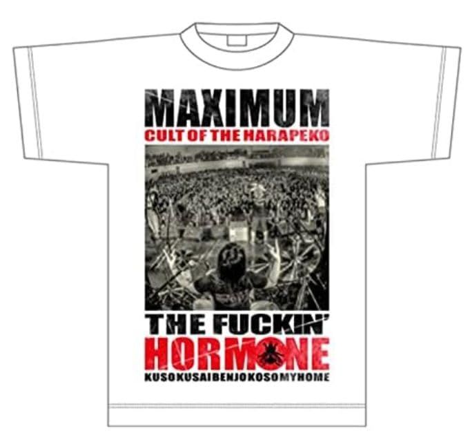 マキシマムザホルモン CULT OF THE HARAPEKO HAE 「蝿」 【M】 - メルカリ