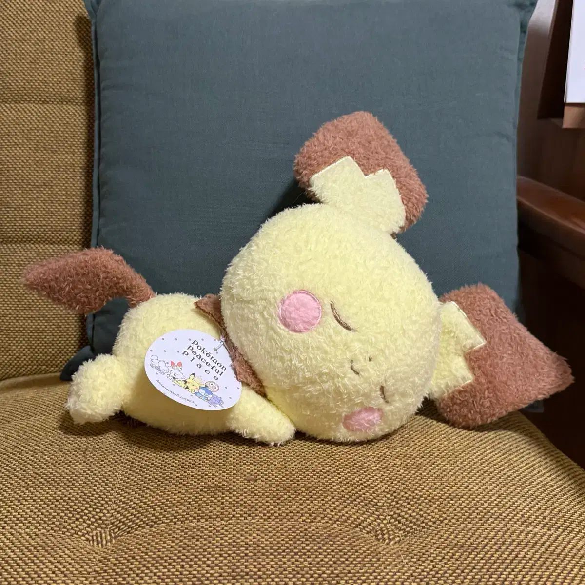 ポケットモンスター 眠る ピチュー IN ぬいぐるみ 出品