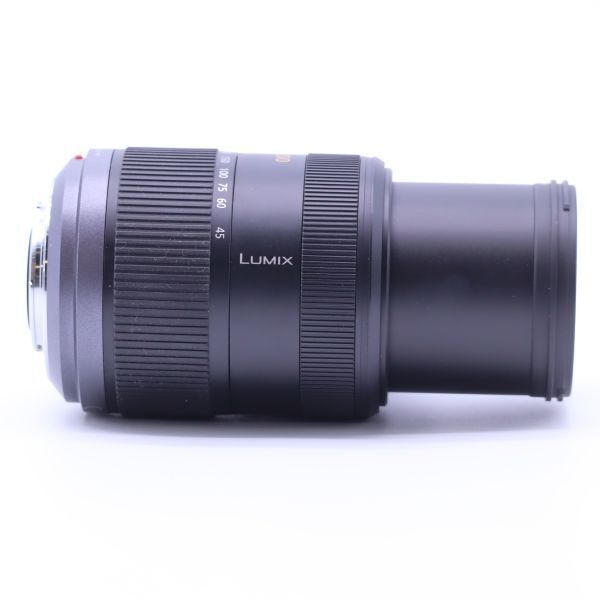 パナソニック 望遠ズームレンズ マイクロフォーサーズ用 ルミックス G