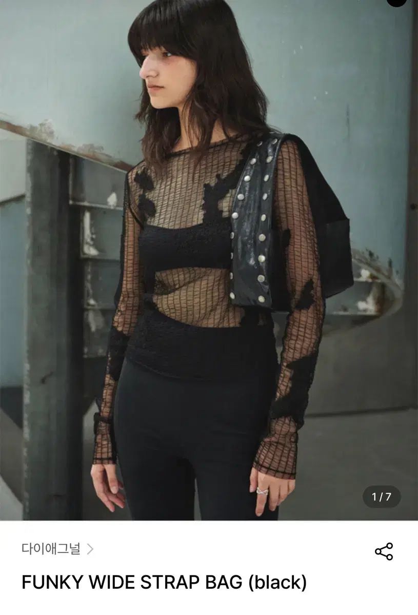 今泉尚樹「クルクマ」日本画 額装 M8 師:大藪雅孝 絵画 C コレクション