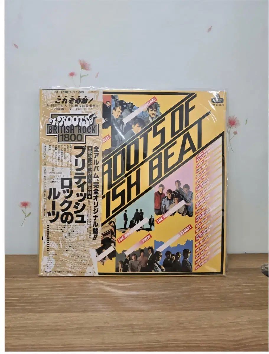 桂正和 画業30周年突破記念BOX 桂大全 画集 【公式通販】