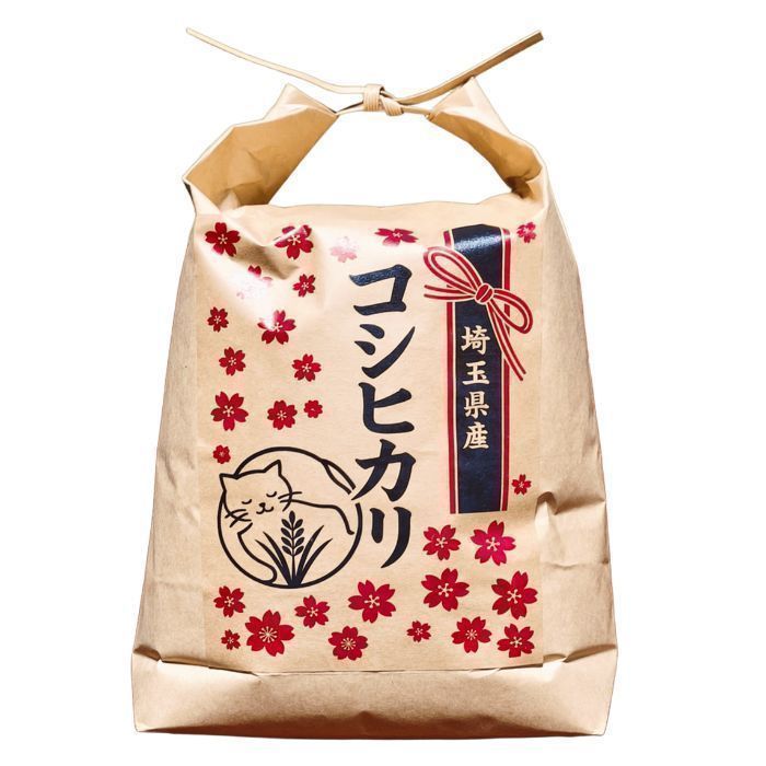 玉川温泉 の 北投石 驚異的治癒力の記録 高原喜八郎