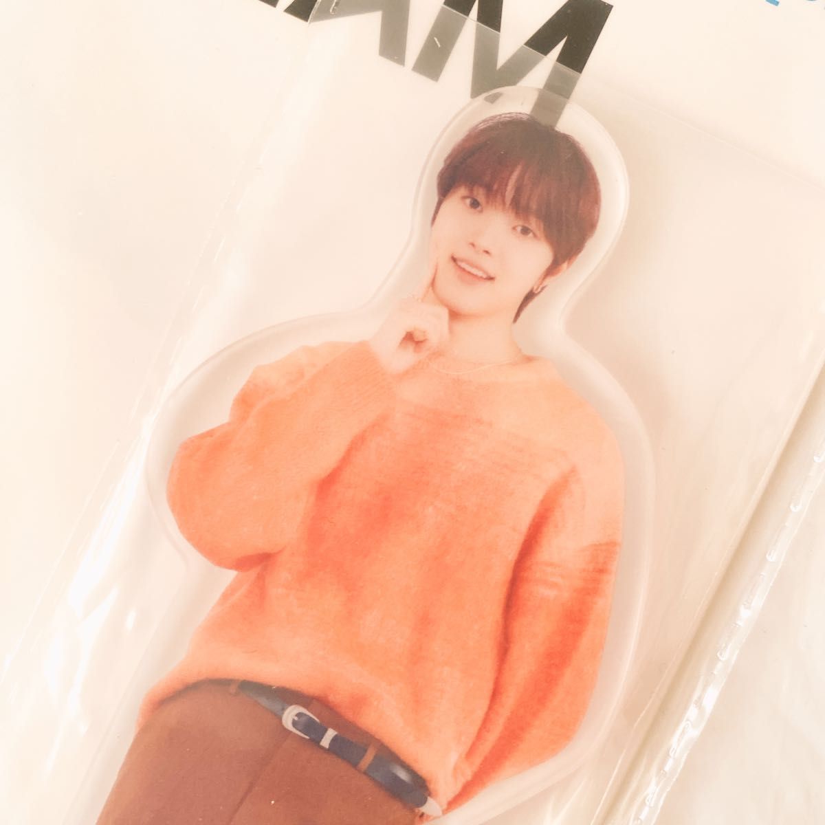 &TEAM 日本限定 アクリルスタンド 9個 エンティーム Colorful アクスタ