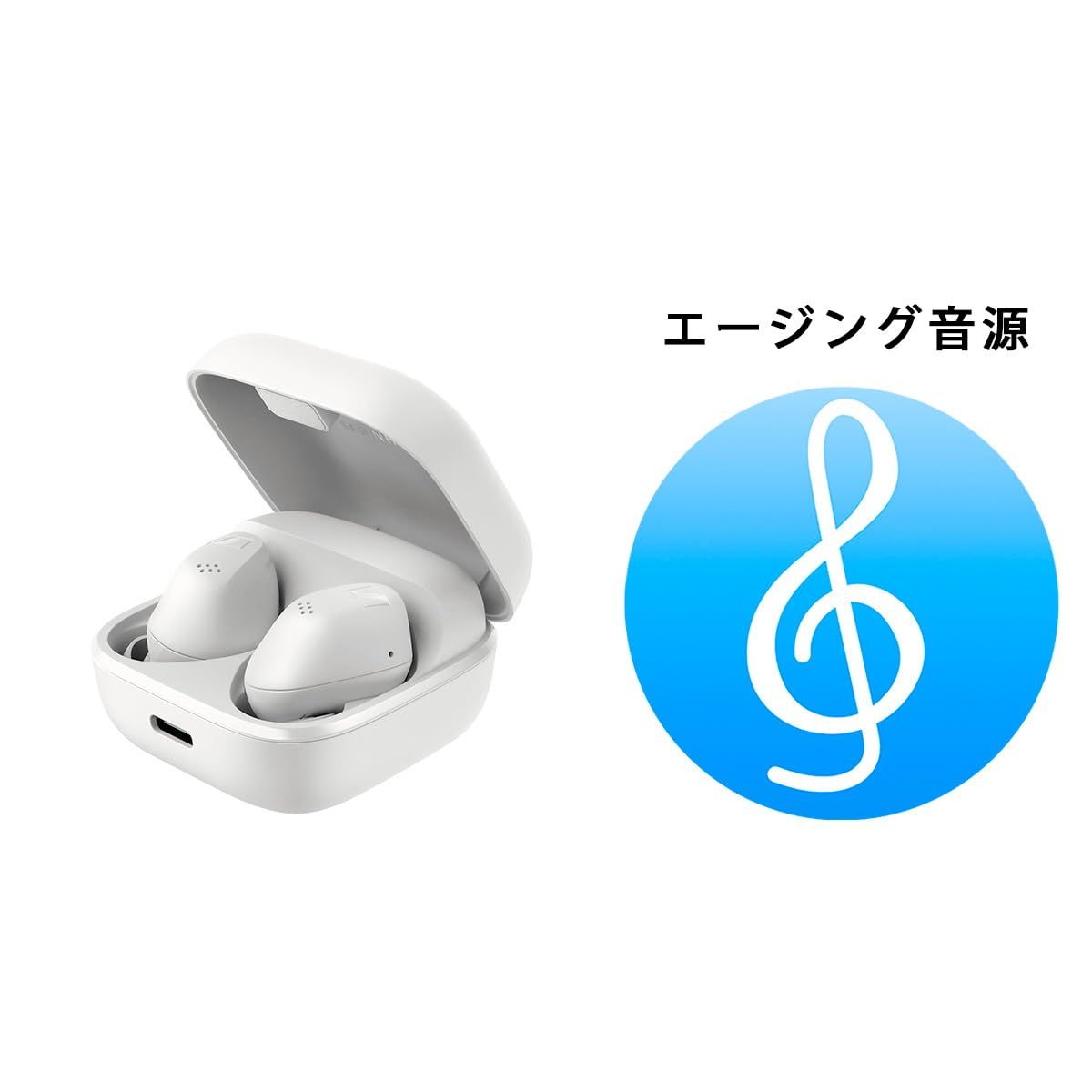 ゼンハイザー Sennheiser ワイヤレスイヤホン ACCENTUM True Wireless