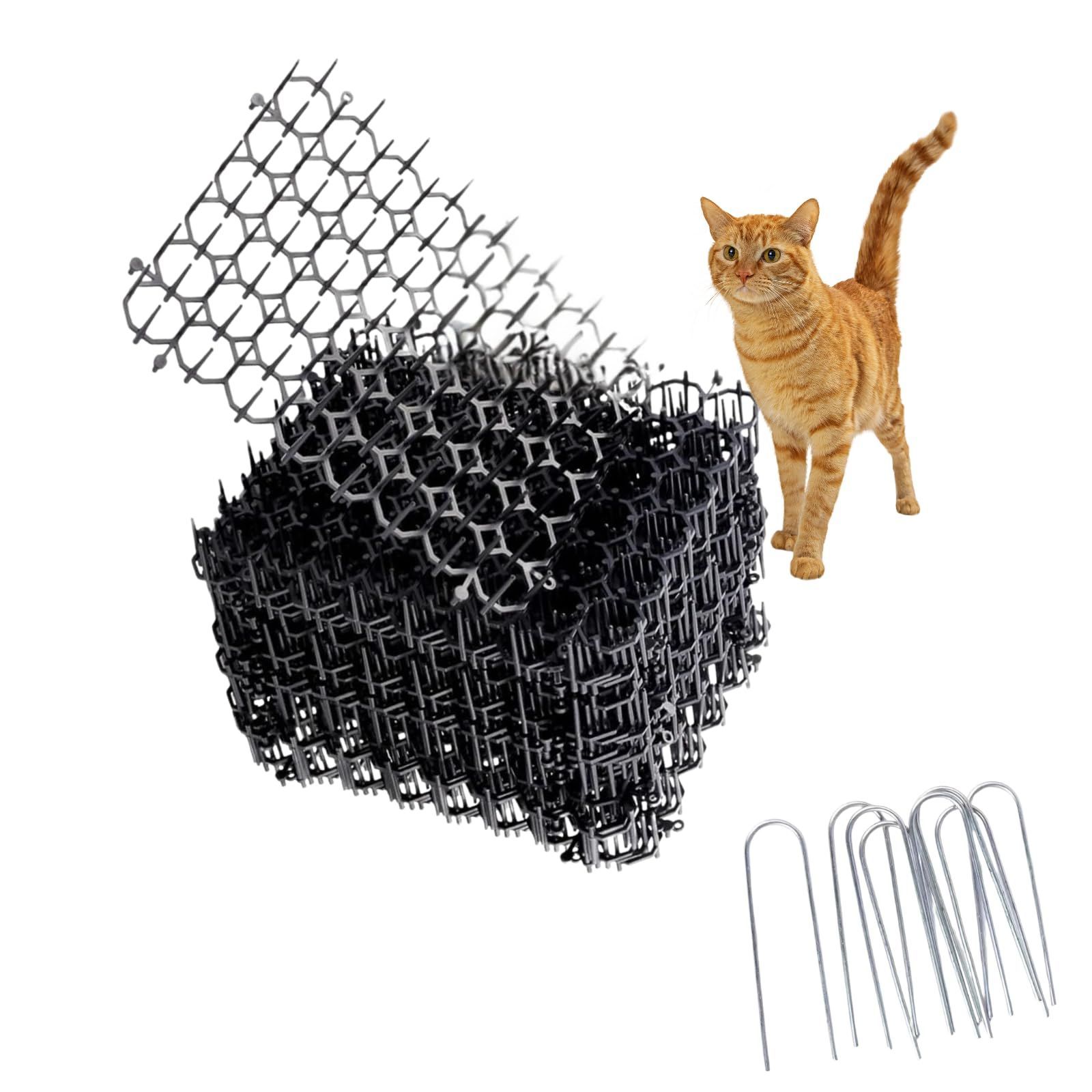 ぽりりんさん専用】玉森裕太 ドラマDVD【最終価格!!】