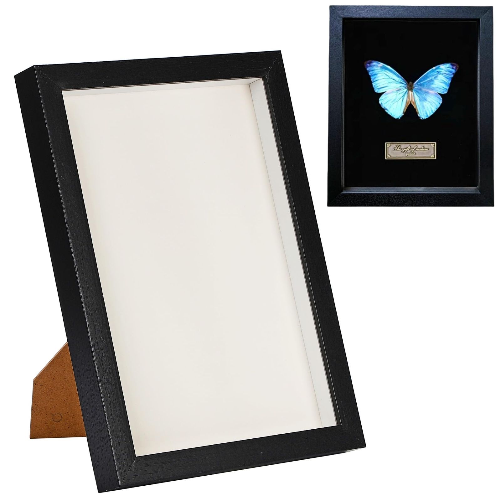 merrytime 標本箱 ガラス フレーム A4 昆虫 標本ケース シーラケース