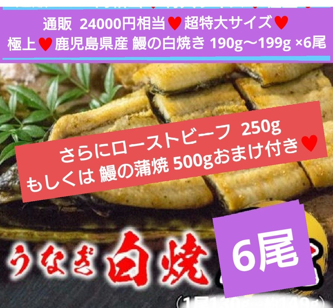 大特価 数量限定 鹿児島県産 蒲焼6尾 大特価 数量限定 鹿児島県産 白焼