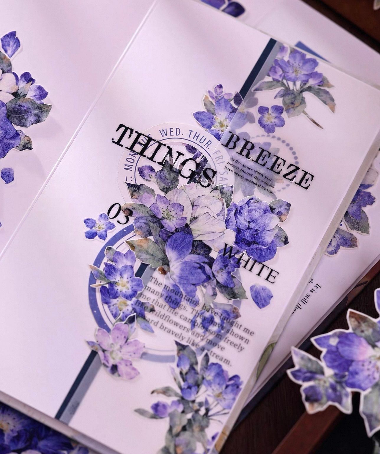 贝壳光 澜屿 ダイカット加工 5.5cm×6m 150cm/loop 海外マスキング