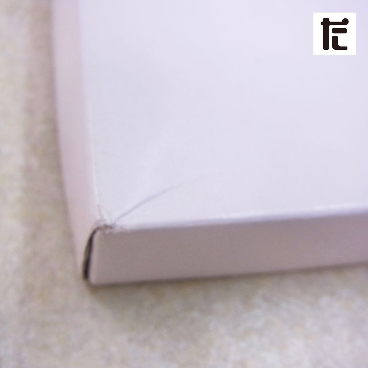 入手困難! ポケモンセンター 複製原画 コレクタブルアートPG「秘密基地