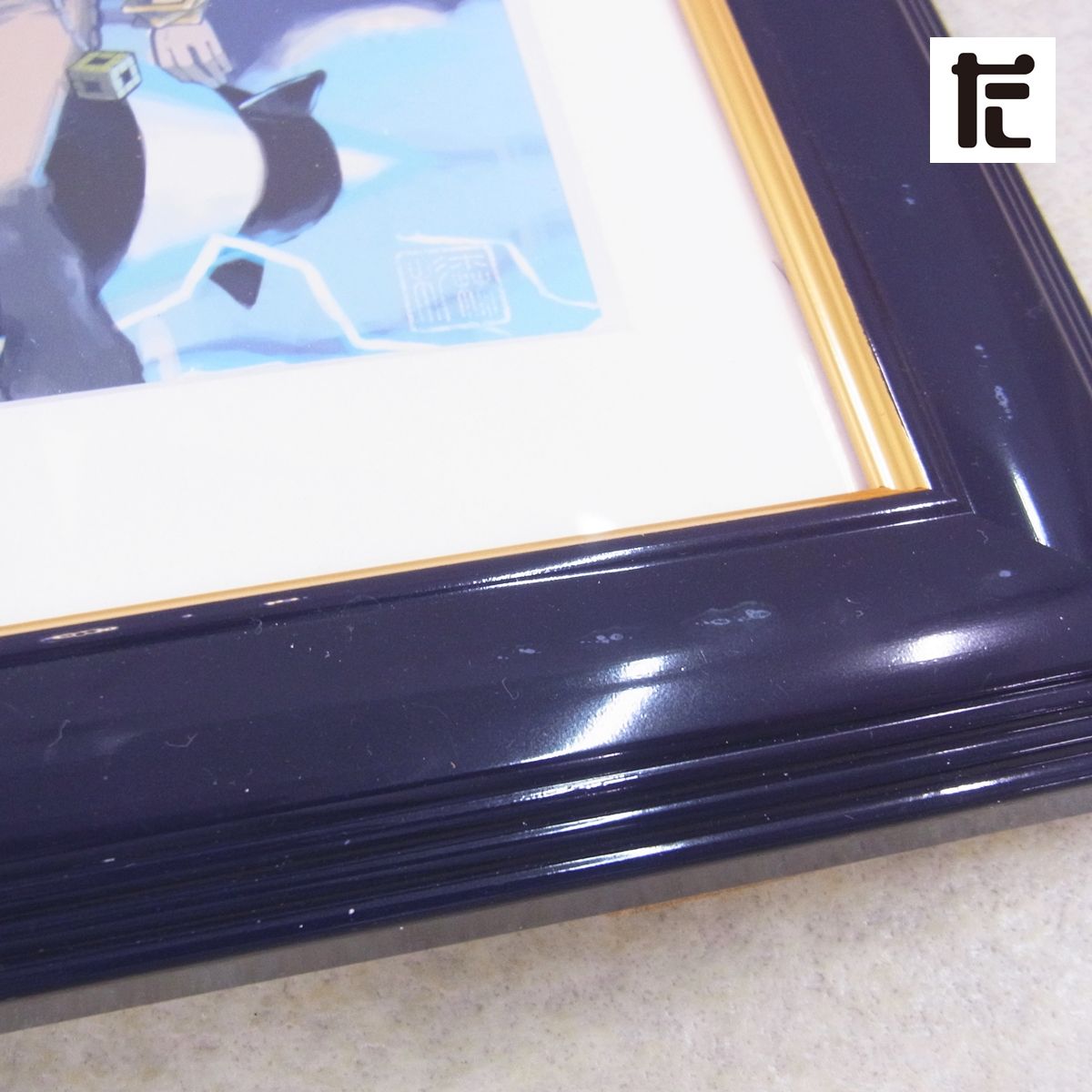 入手困難! ポケモンセンター 複製原画 コレクタブルアートPG「Nの