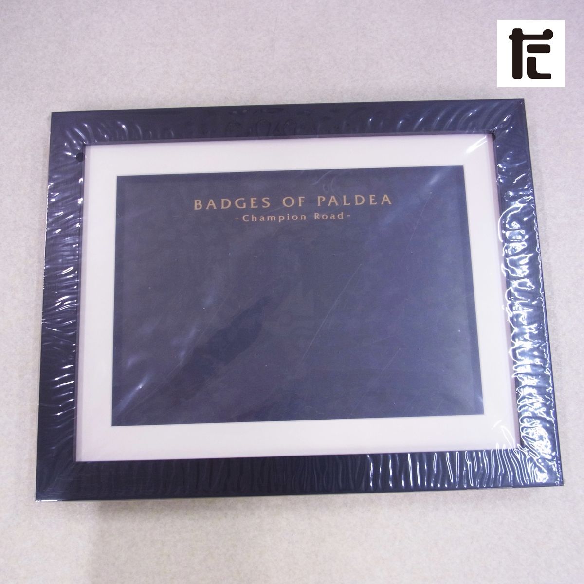 ポケモンセンター バッジコレクション チャンピオンロードセット 受注