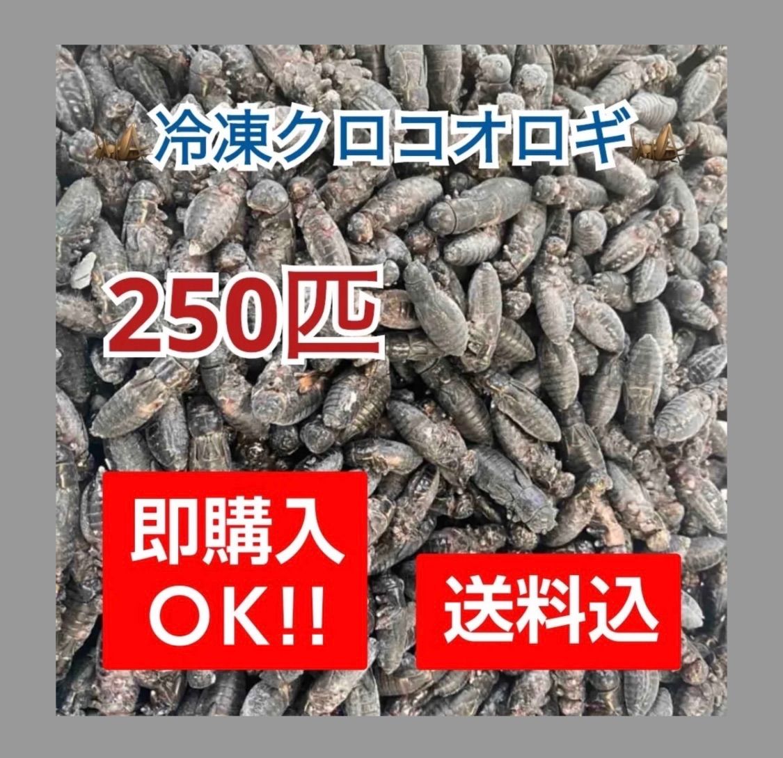 h*a様 フェリシモ 手芸キット 大量 卸売りハンドメイド・手芸 - h*a様