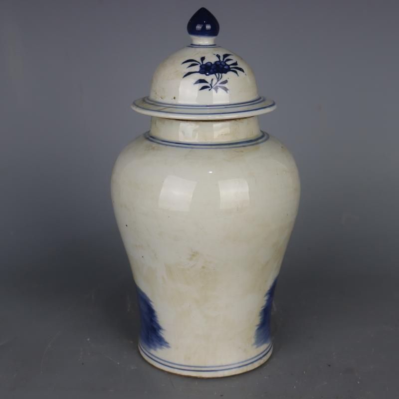 サバ花鳥紋将軍缶  景徳鎮 陶磁器 装飾品 現代工芸品 美術品 置物 美術品・アンティーク・コレクション サバ花鳥紋将軍缶 景徳鎮 陶磁器