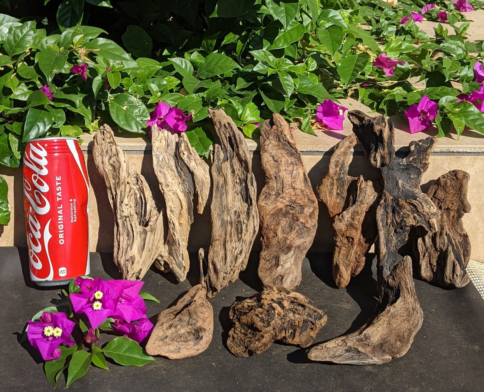 CQ6天然流木【黒ずみ】10本組爬虫類等レイアウト用品アク抜き済（沈水