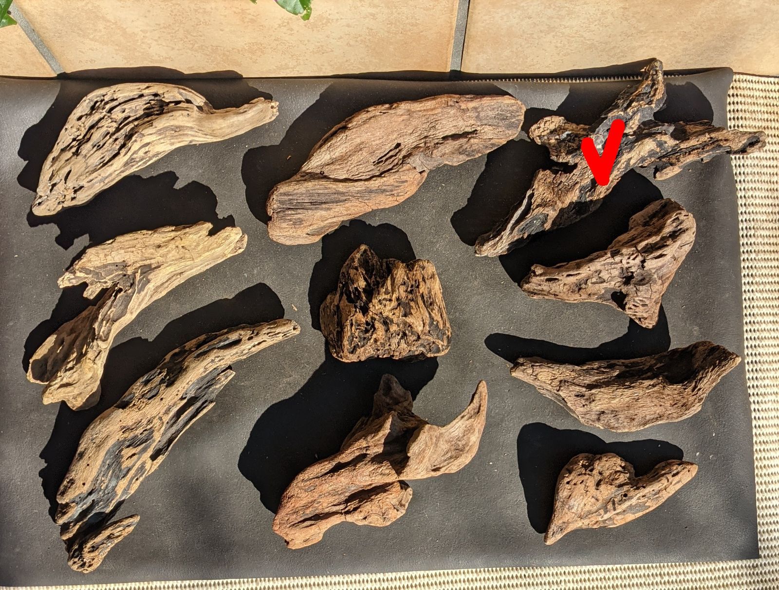 CQ6天然流木【黒ずみ】10本組爬虫類等レイアウト用品アク抜き済（沈水