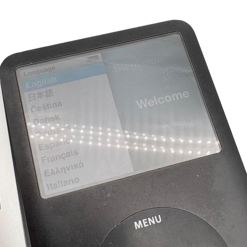 現状品】iPod A1238 2台セット 160GB MC292J/A シルバー ＋ 80GB