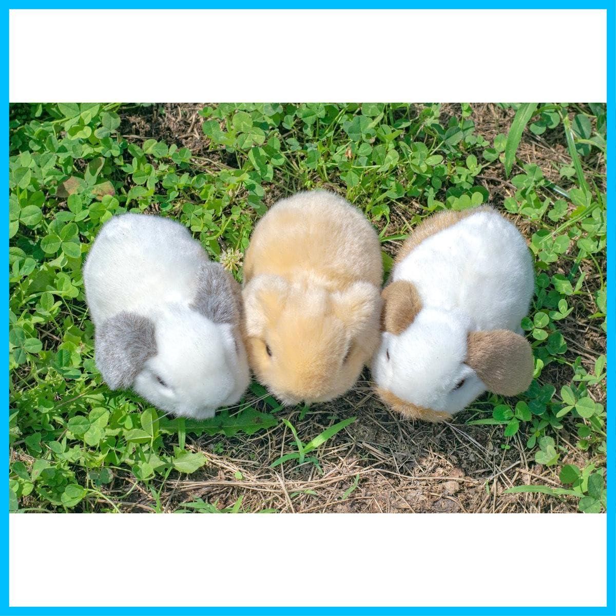 ♡HAPPY♡ロップイヤーセット 5色から”推し色”を選べる、カラフルキャンディーのようなうさぎの