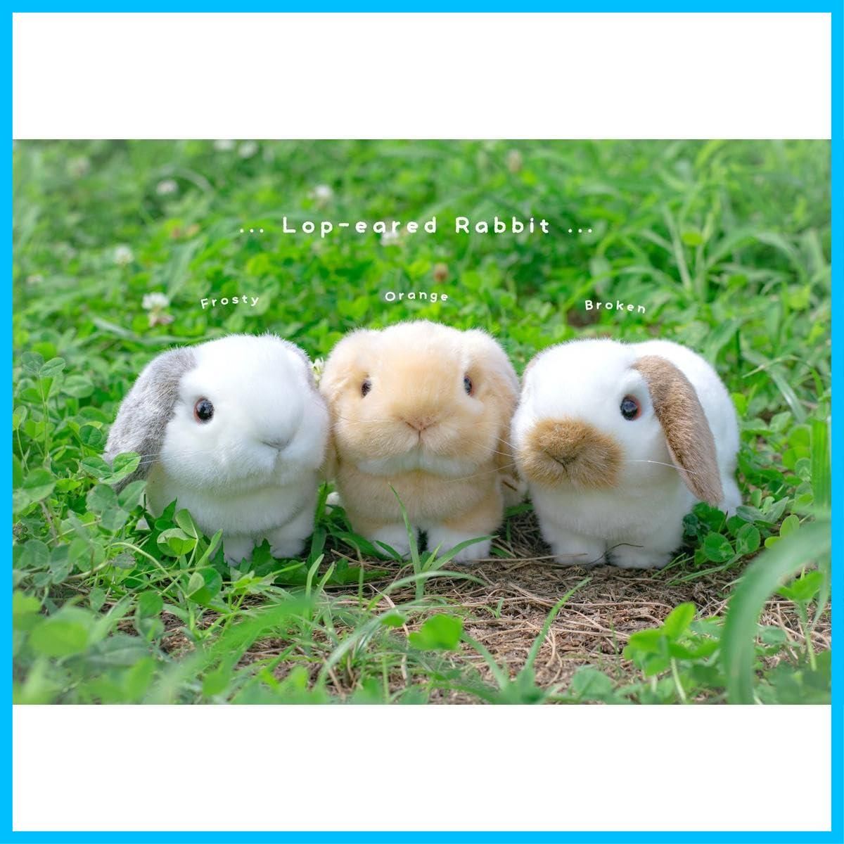 人気商品】ロップイヤーウサギ りくのなかまたち ぬいぐるみ オレンジ