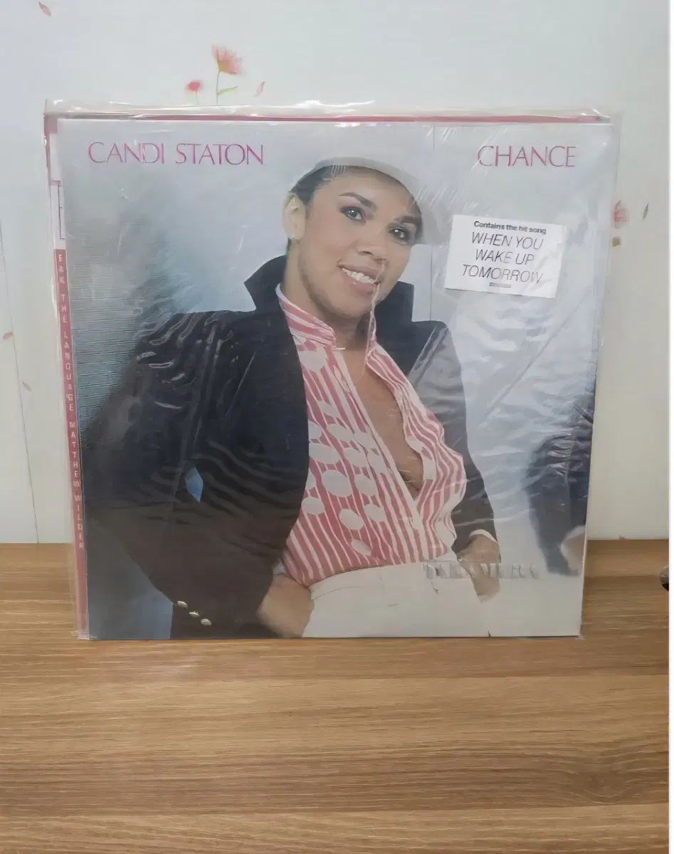 楽器・機材 LP CANDY ステイトン Candi Staton ） ー Chance