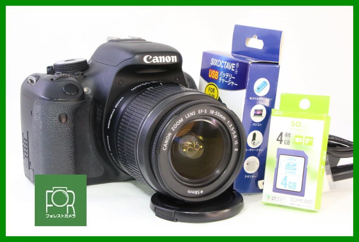 良品□到着後即使える□Canon EOS Kiss X5/EF-S 18-55mm F3.5-5.6 IS 