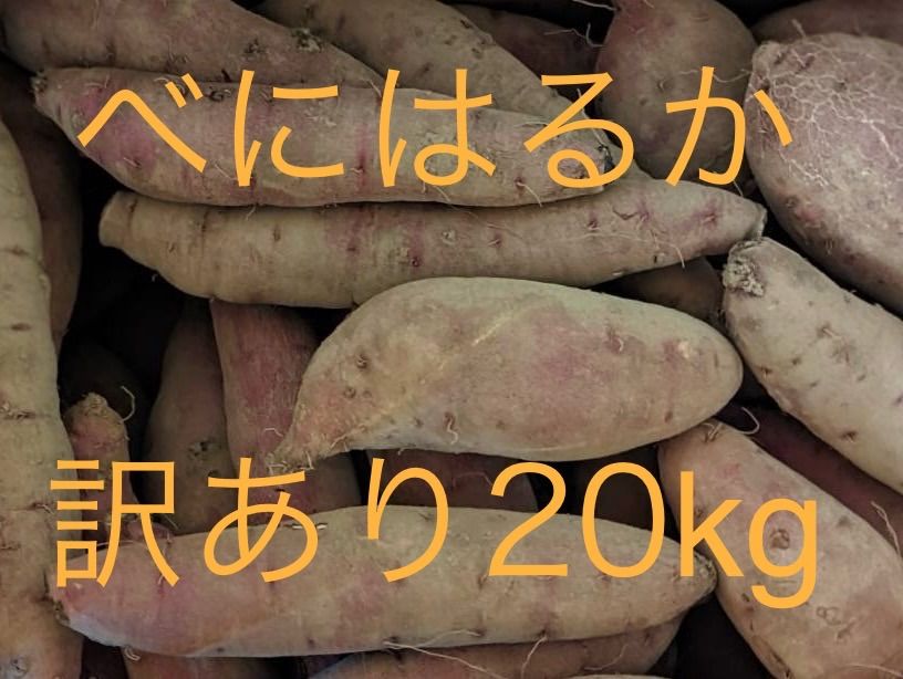 追熟完了】紅はるか 20kg 訳あり 茨城県産 農家直送 - メルカリ