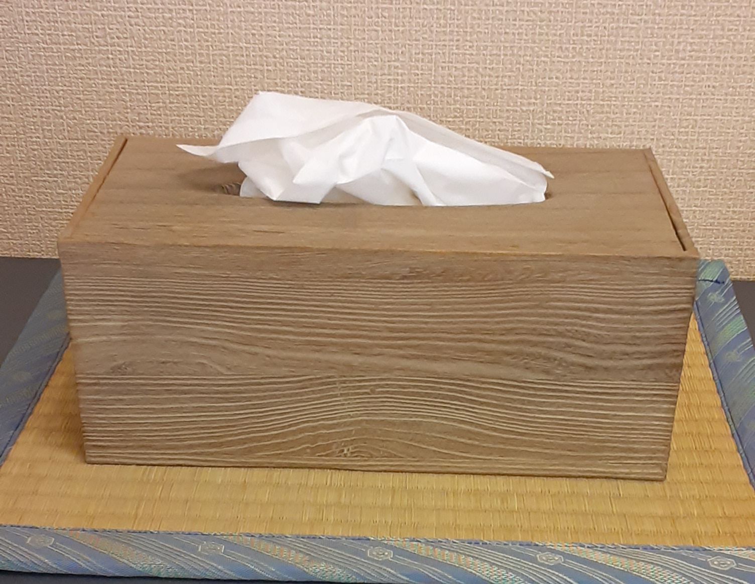 美品❗️ダウンハガー #3 ③ ライトジップ