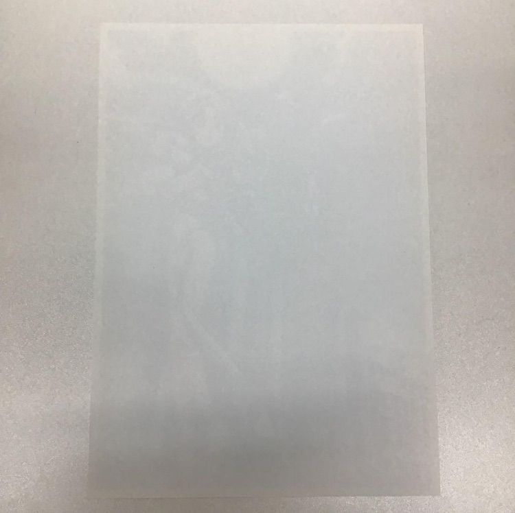 ARIA The NATURAL 水無灯里 キャラ集合 A4ポスターセット 特典 - メルカリ