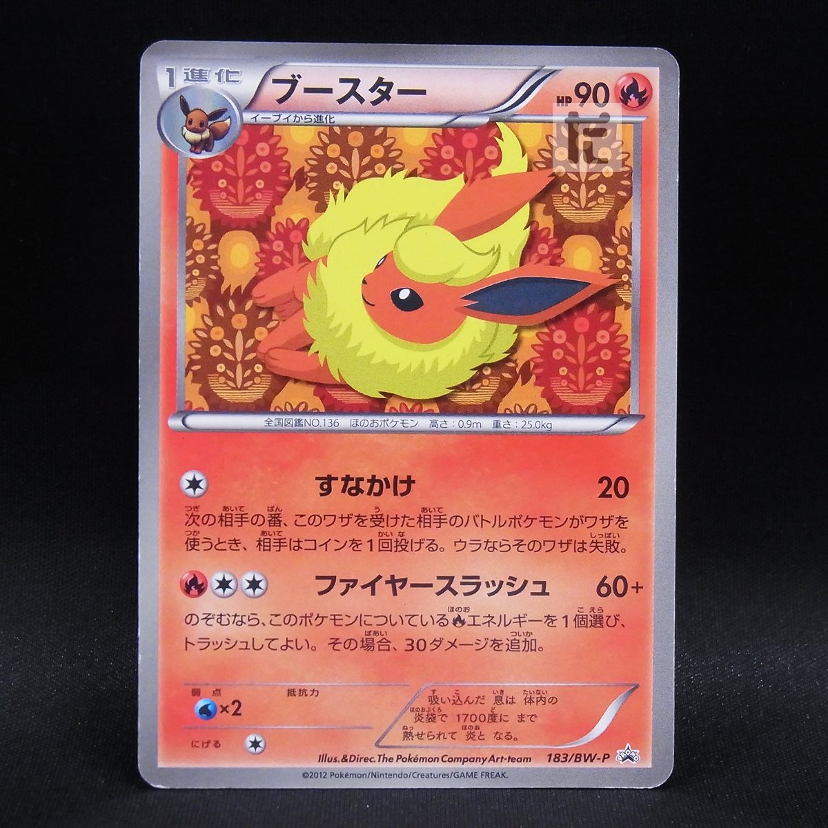 ブースター BW-Pプロモカード 183/BW-P イーブイコレクション ブースター BW-Pプロモカード 183/BW-P イーブイコレクション イーブイ