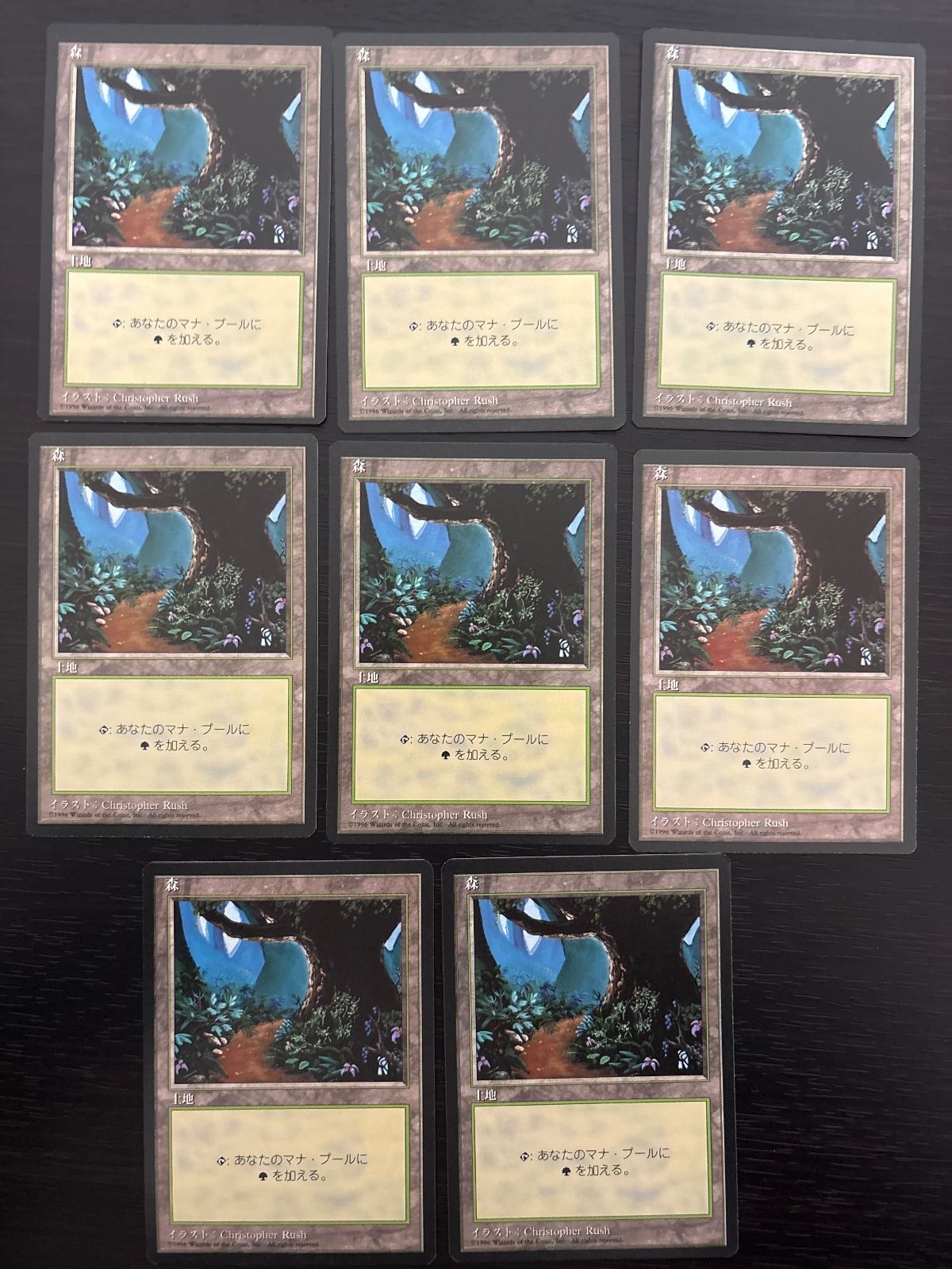 MTG 日本語 基本地形 基本土地 全コンプリート 4ED〜ONE コレクション MTG 日本語 基本地形 基本土地 全コンプリート 4ED〜LTR コレクション