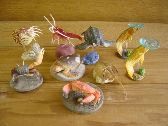 ♯Gpi15ET 生命の鼓動I 生態 造形 図鑑 水族館 限定 シークレット入 9