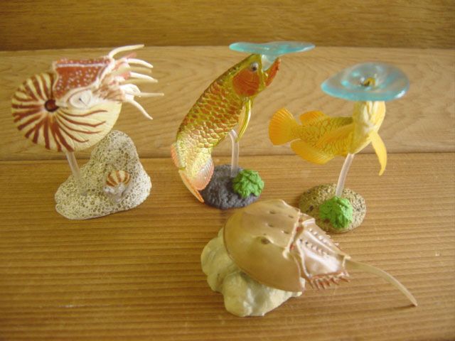 ♯Gpi15ET 生命の鼓動I 生態 造形 図鑑 水族館 限定 シークレット入 9