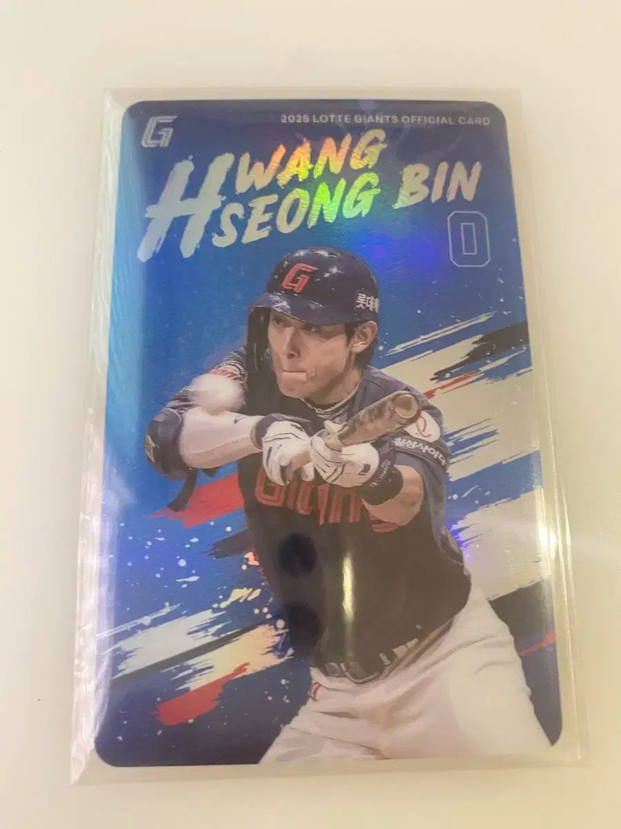 未来蜂 FutureBee 2001横浜ベイスターズ 斎藤隆 直筆サイン bbm