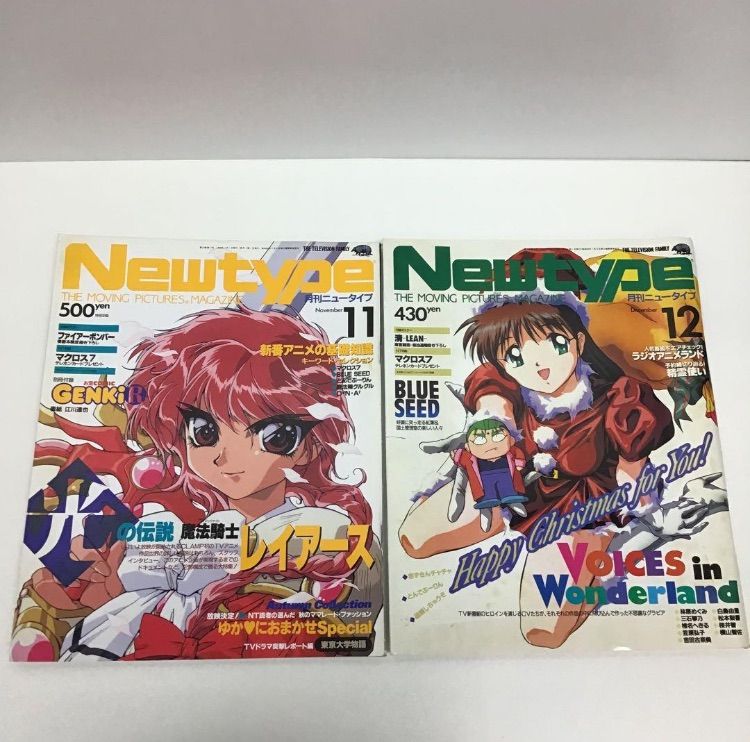 月刊ニュータイプ　1994年1月号〜12月号　12冊セット 月刊ニュータイプ 1994年1月号〜12月号 12冊セット 月刊ニュータイプ