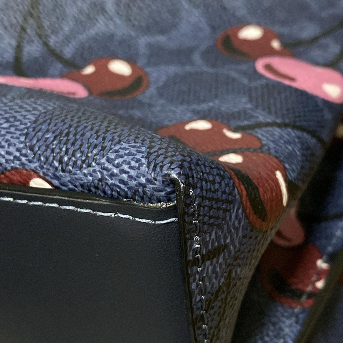 COACH(コーチ) トートバッグ モリー トート・シグネチャー キャンバス 