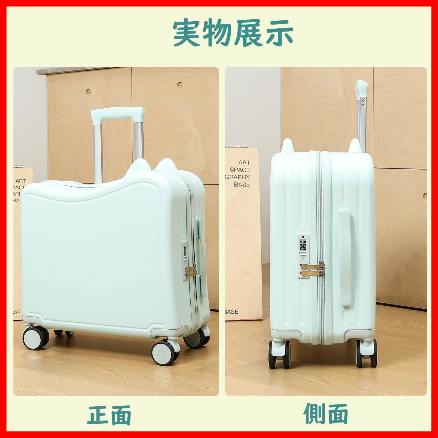 香港ディズニー限定 ダッフィ スーツケース ☆香港限定