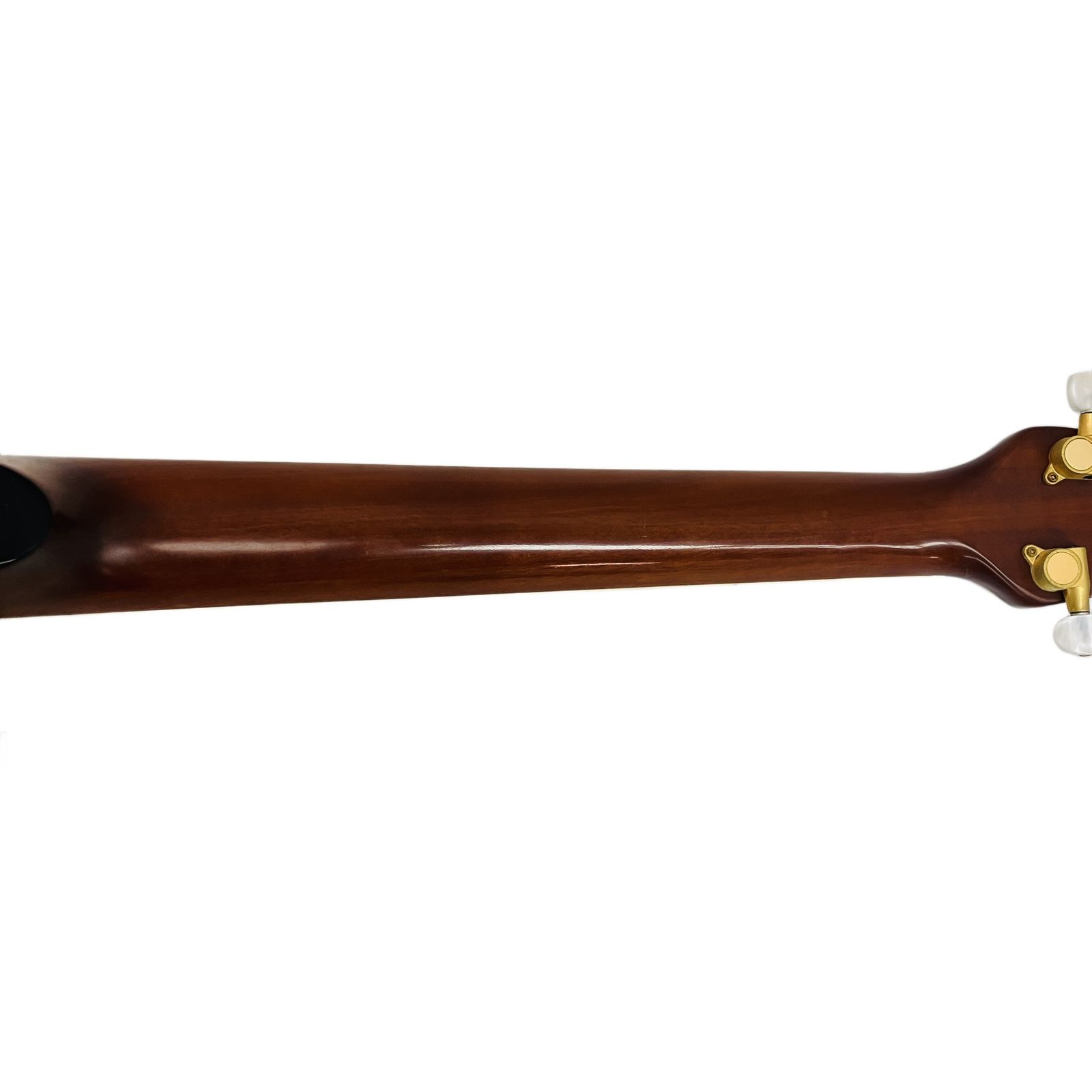 Tornado by Morris トルネード モーリス ZII Z2 エレアコ エレキギター