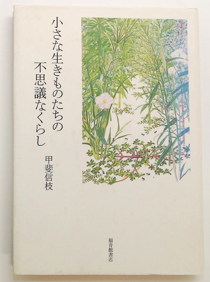 小さな生きものたちの不思議なくらし 福音館の単行本 甲斐信枝 福音館