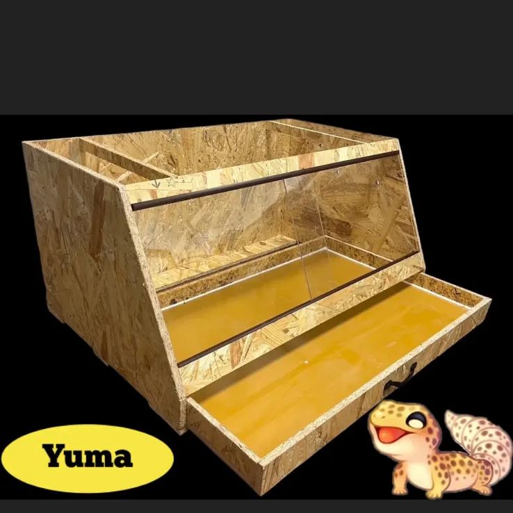 新品未使用品】Neater Feederニーターフィーダーペット用食器セット