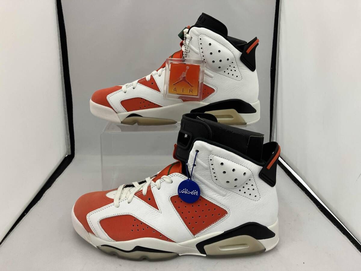 NIKE ナイキ AIR JORDAN 6 RETRO エアジョーダン GATORADE LIKE MIKE