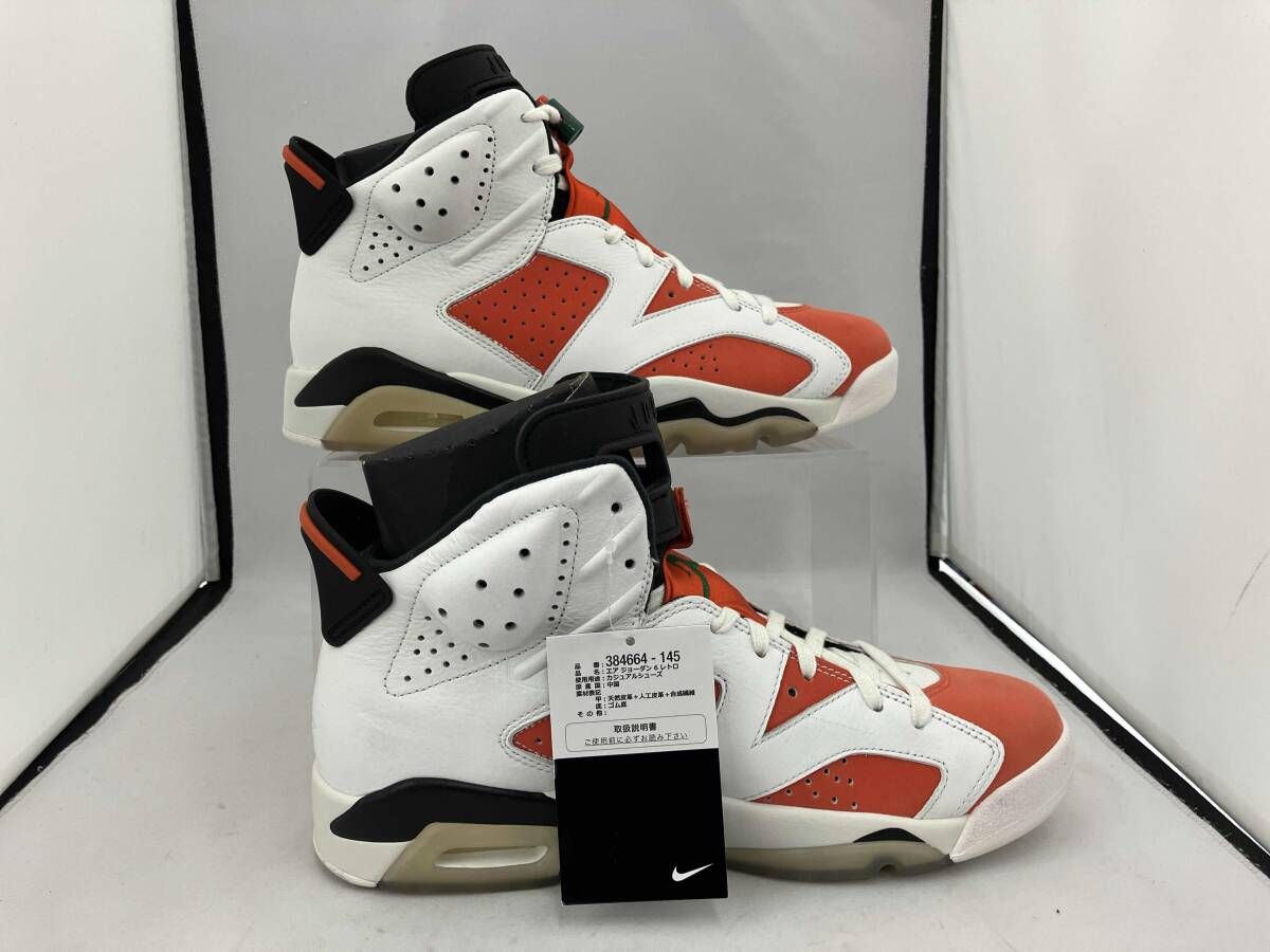 NIKE ナイキ AIR JORDAN 6 RETRO エアジョーダン GATORADE LIKE MIKE