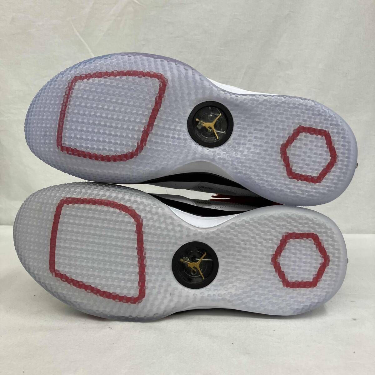 NIKE /ナイキ/AIR JORDAN XXXⅢ PF/エアジョーダン33/BV5072-100 
