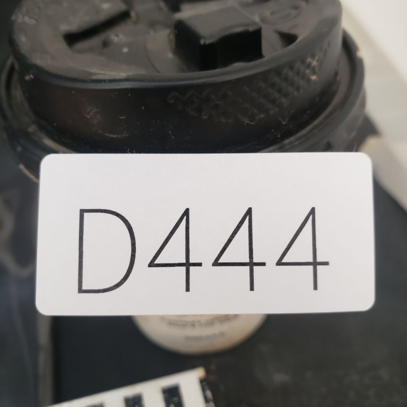 D444【自社養生株】アデニア プセウドグロボーサ（現地球・発根株