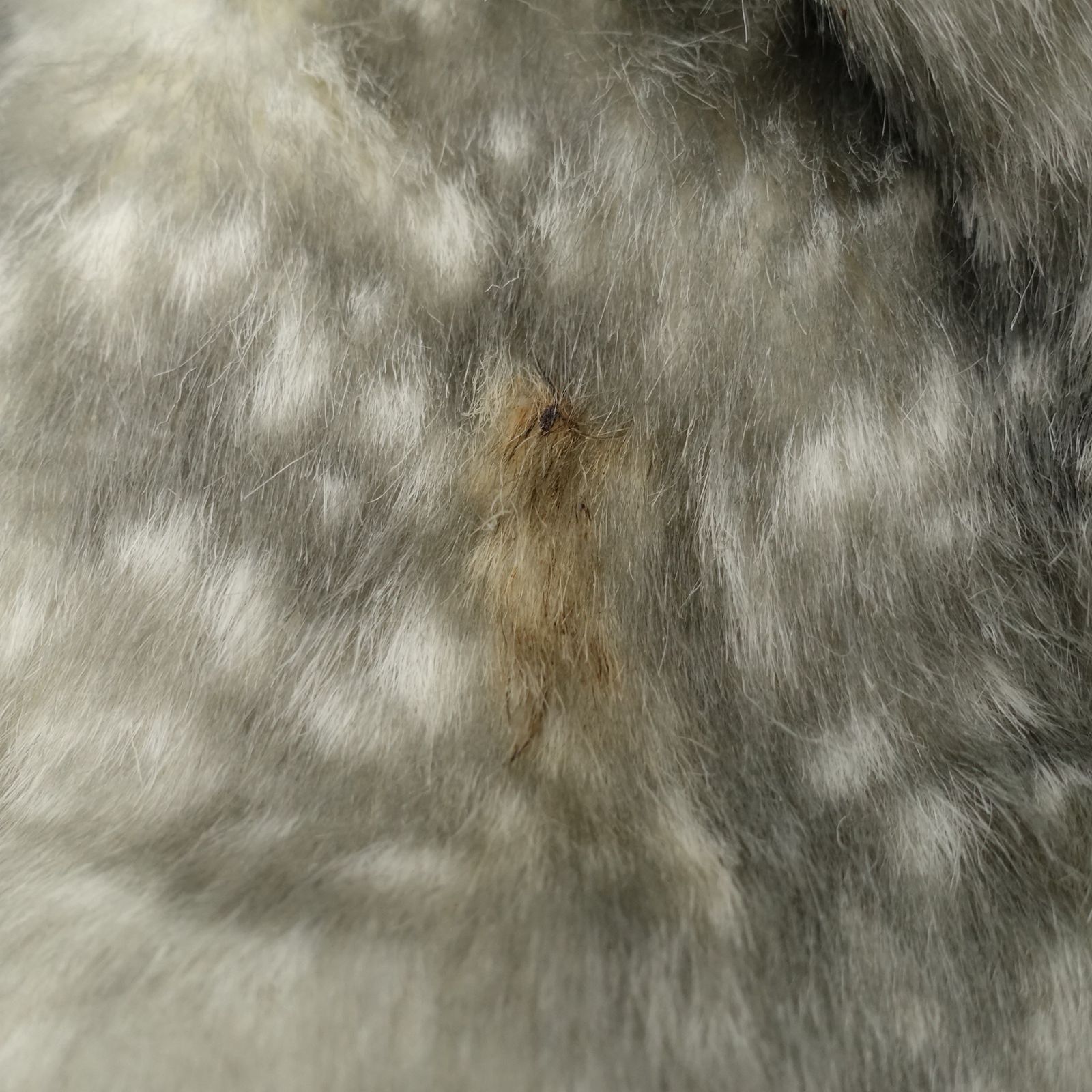 TSUMORI CHISATO ツモリチサト ゴマアザラシファーコート 2/Mサイズ