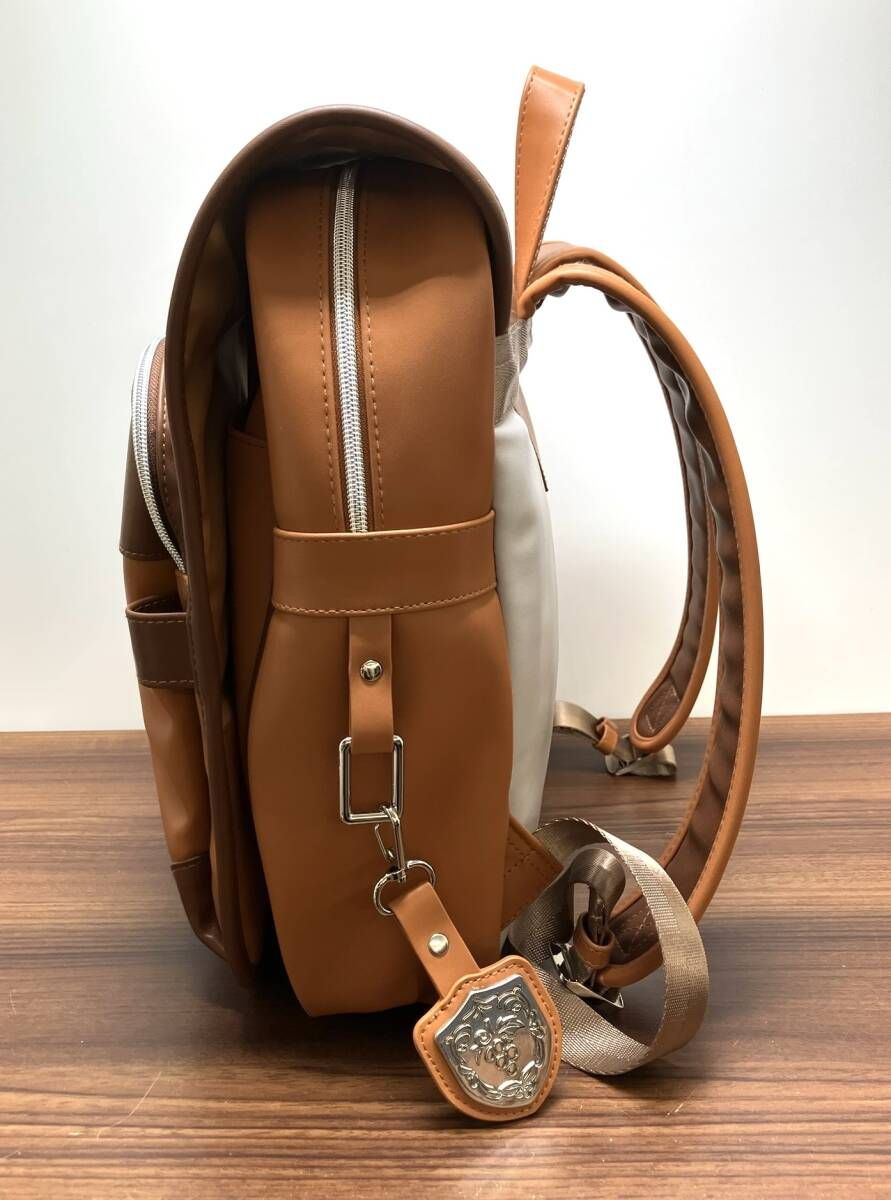 ☆Pokemon ポケモン ポケモンセンターオリジナル 主人公のリュック