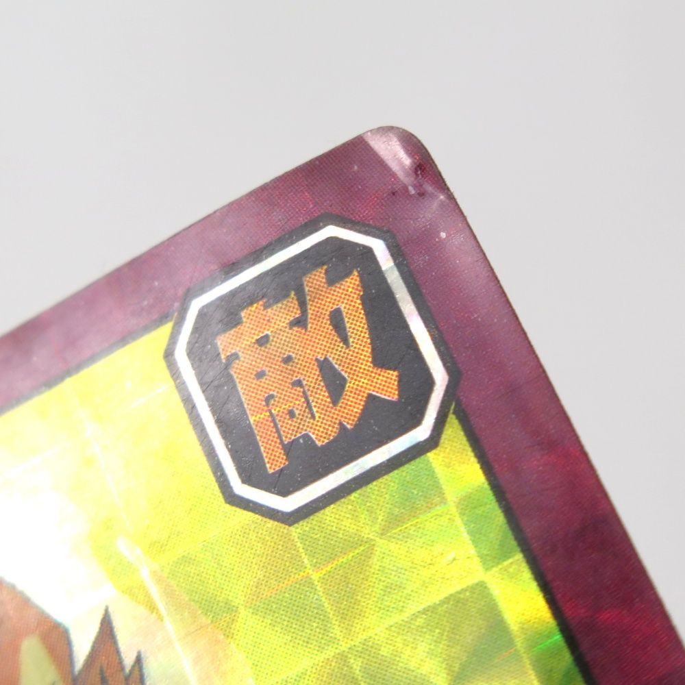 ドラゴンボール カードダス スーパーバトル PPカード 本弾 717